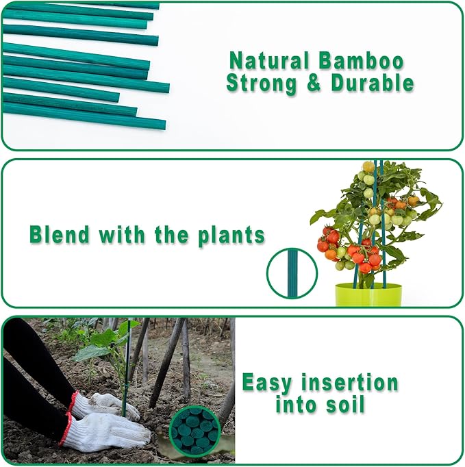 PERSZEN Plant Stakes 50 PCS Garden Green Bamboo Sticks Plant Support Stakes for Indoor and Outdoor Plants, Wooden Sign Posting Flower Pot Garden Stakes(15" 25pcs+17" 25pcs)