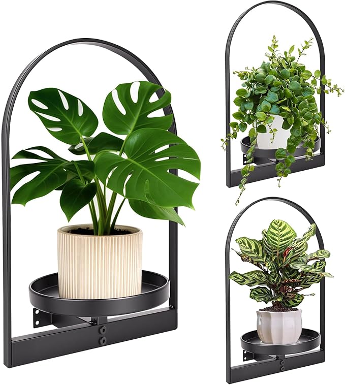3 Pack Wall Plant Holder for Indoor Plants, Metal Wall Mounted Plant Shelf for Small Pots, Modern Arch Hanging Wall Planter Display with Hooks, Plant Frame Wall Decor for Living Room, Bedroom, Black