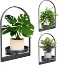 3 Pack Wall Plant Holder for Indoor Plants, Metal Wall Mounted Plant Shelf for Small Pots, Modern Arch Hanging Wall Planter Display with Hooks, Plant Frame Wall Decor for Living Room, Bedroom, Black