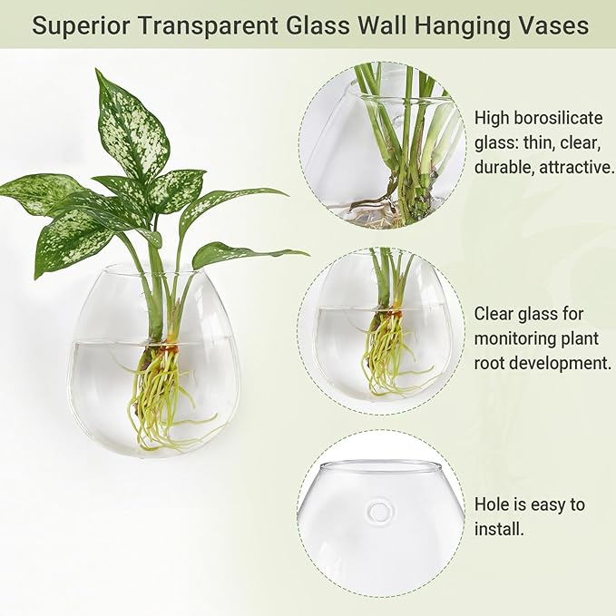 Dahey Propagation Stations Wall Hanging Planters Glass Wall Mounted Vases Oblate Terrarium for Flowers Hydroponics Indoor Plants Home Bathroom Office Decor, 4.7" W x 5.1" H, 4 Pack