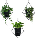 Koalaime 3 Sets Wall Planters for Indoor Plants Geometric Hanging Planters for Indoor Plants - Self-Watering Flower Pots with Black Metal Holder, Mounted Succulent Planter, 5" Black Plant Pot