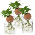 Baderke 3 Pcs Glass Plant Propagation Stations with Spherical Lid Glass Jars Plant Propagation Vases Hydroponic Spherical Cork Planter for Indoor Home Office Desktop Decor(Round,3.94 Inches)