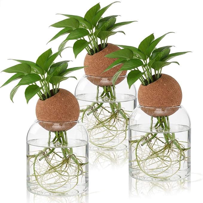 Baderke 3 Pcs Glass Plant Propagation Stations with Spherical Lid Glass Jars Plant Propagation Vases Hydroponic Spherical Cork Planter for Indoor Home Office Desktop Decor(Round,3.94 Inches)