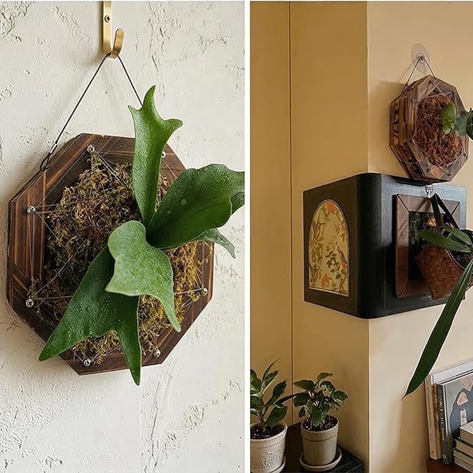 Staghorn Fern Mounting Kit - Wood Wall Planter for Orchids,Herbs & Indoor Plants | Hanging Plant Holder,Basket & Stand for Wall Decor(10.43inch)