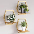 3 Pack Solid Wood & Heavy Duty Metal Wall Plant Stands, 25 LB Load Boho Arch Hanging Planter,9 inch Natural Wood Shelf for Indoor Plants Golden