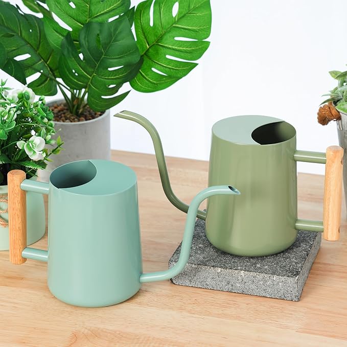 Metal Watering Can for Indoor Plants, 35oz Sage Green Cute Stainless Steel Pot with Long Spout for Indoor House Plants Bonsai Outdoor Garden Flower Decorative