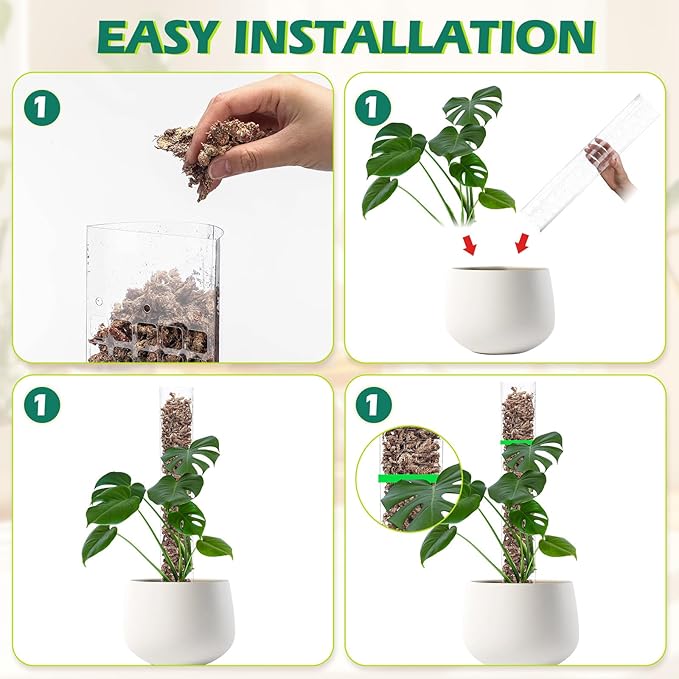 10 Pieces Plastic Moss Pole for Monstera Including 4 Pcs 24 Inch Clear Plant Poles for Indoor Climbing and 6 Pcs 15 Inch D Shape Stackable Plant Support Kit Work with Sphagnum Moss