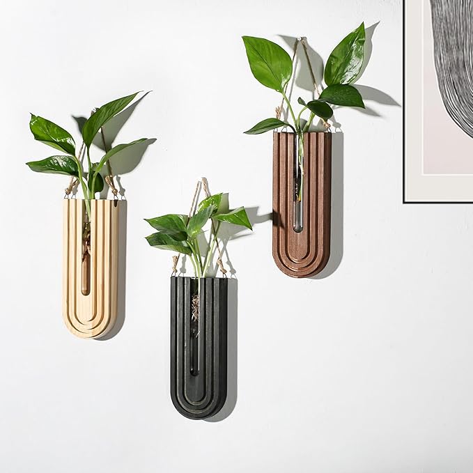 Dnnnii Indoor Wood Wall Planter Set of 3 for Plants - Boho Handmade Hanging Propagation Station with Curved Rainbow Design, Wall Mounted Vase for Flowers, Natural Home Decor Living Room Entryway