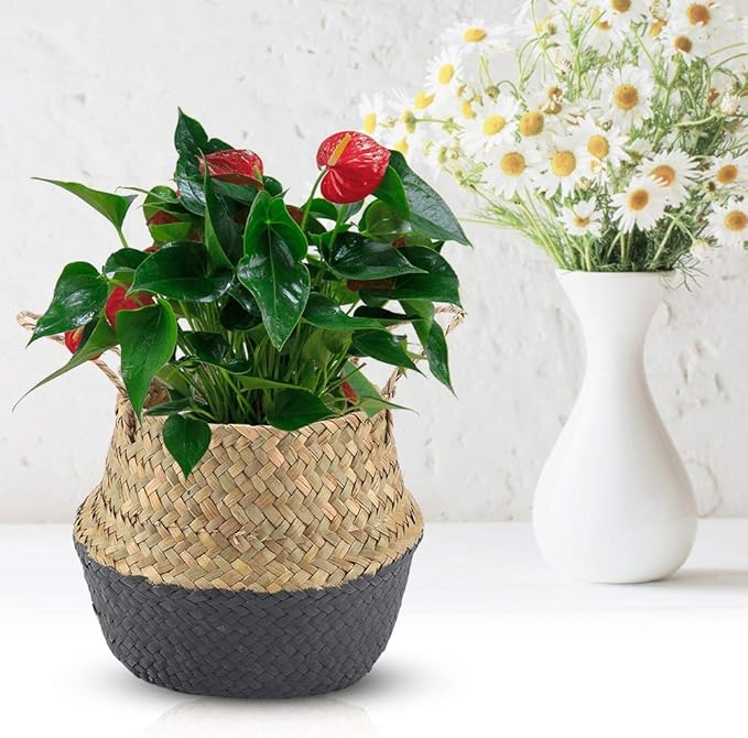 2PCS Large Seagrass Belly Basket Planter Woven Rattan Wicker Plant Pot Round Boho Decorative Wicker Planter for Home Decor(Black)