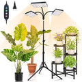 3Head Grow Light with Stand, 75 Watt Bright Enough and Big Coverage, Natural Sunlight Full Spectrum Plant Growing Lamps for Tall&Large Indoor Plants, Bonsai Tree, 4/8/12/16/20H 5-Mode Timer