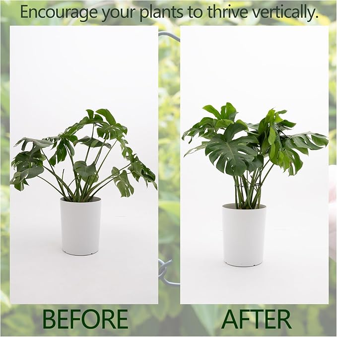Yohsnor 5PCS Monstera Plant Stem Support -7.3*6.25IN Adjustable Metal Stake for Climbing Plants, Durable Garden Support with Gentle Grips, Ideal for Indoor & Outdoor Use, Ideal Gift for Plant Lovers