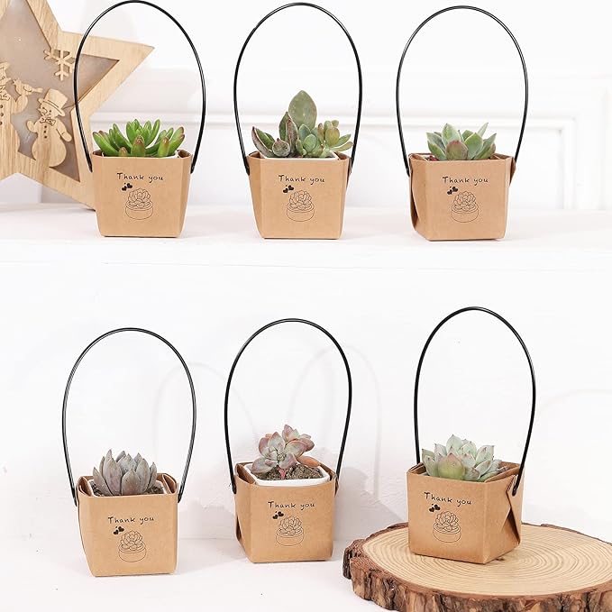 NITHECON 40pcs Thank You Succulents Wraps [NOT Include Plants and Pots]-[Fits 2 Inch Pots] Gift Bags Decoration Sleeve Succulent Tags for Wedding Baby Shower Favors Ideas,Kraft Paper