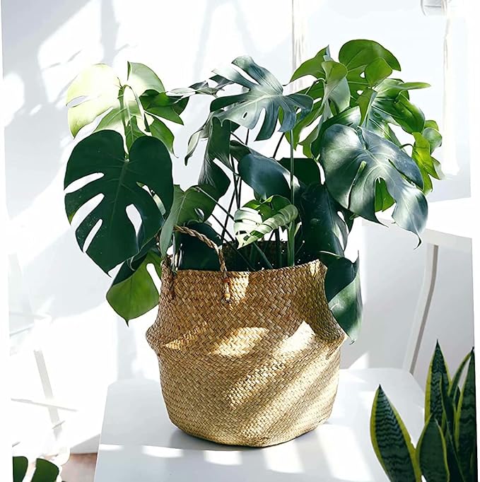 Seagrass Plant Basket Set of 3 Handmade Woven Belly Basket with Handles 3 Different Size Home Decor Storage Basket Large Storage Laundry Picnic Plant Pot Cover Pot Woven Straw Basket(S+M+L,Original)