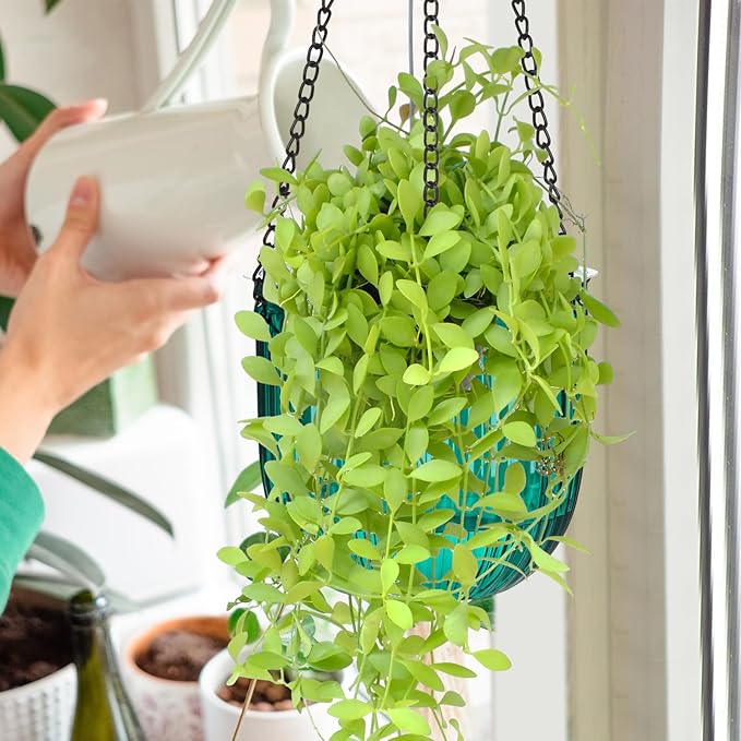 Maxcheck 4 Pcs Self Watering Hanging Planters Indoor Gift 6.5'' 4.5'' Hanging Flower Pots Baskets Outdoor Self Watering Plant with 3hooks Drainage Holes for Home