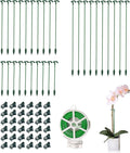 Pack of 30 Small Plant Stakes for Indoor Plants 3 Size 6.7/10.6/14.5/ Inches Single Stem Plant Support Stakes for Phalaenopsis/Orchid Flower/Roses/Chrysanthemum/Succulent(with Clips&Twist Tie)
