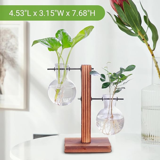 Wooden Base Glass Vase - Plant Holder & Propagation Station for Hydroponic Plants, Desktop Terrarium with Wooden Stand, Stylish Home & Office Décor, Great Gift for Plant Enthusiasts (FGJ-2B)