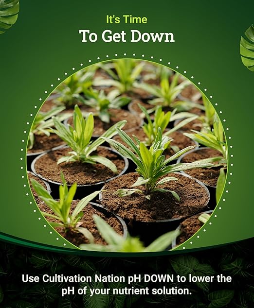 FoxFarm Cultivation Nation pH Down for Plants’ Nutrient Solutions - Formulated with Citric Acid for Adjustment - Ideal for Soil & Hydroponics, Lowers pH Levels of Nutrient Solution - 1 Gallon