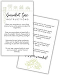 Succulent Care Instruction Cards with Icons 50pk 2x3.5” Home Propagated Plants Tags Labels White Simple for Sale Client Care How to Water Kit