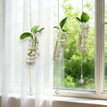 Plant Propagation Station Glass Hanging Propagation Tubes for Indoor Plants, Hydroponics Wall Planter Holder with Hanging Chain, 3Pcs Propagation Vases Hydroponics for Women Plant Gifts