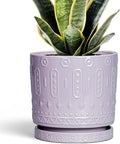 Eightpot Ceramic Pots for Plants, 6 Inch Plant Pot for Indoor Outdoor Plants, Round Planter with Drainage Holes and Saucer, Boho Decorative Flower Pots, Apartment Decor, Plant Lover Gifts, Purple