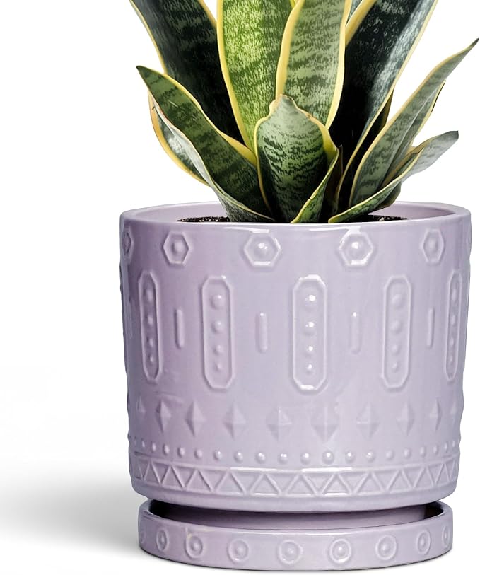 Eightpot Ceramic Pots for Plants, 6 Inch Plant Pot for Indoor Outdoor Plants, Round Planter with Drainage Holes and Saucer, Boho Decorative Flower Pots, Apartment Decor, Plant Lover Gifts, Purple