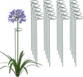 Thealyn 20 Pack 16 Inch Plant Support Stakes, Metal Single stemmed Flower Support Hoops，Garden Plant Stakes Plant Prop for Amaryllis Orchid Lily Rose Peony Tomatoes Gladiolus