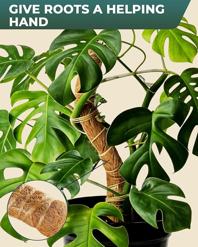 6 Pcs Moss Poles for Climbing Plants, 4 Pcs 39" & 2 Pcs 11" Tall Bendable Coco Coir Trellis Stakes - Indoor Plant Support for Monstera, Pothos- Handmade Moss Sticks for Potted Houseplants