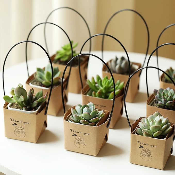 NITHECON 40pcs Thank You Succulents Wraps [NOT Include Plants and Pots]-[Fits 2 Inch Pots] Gift Bags Decoration Sleeve Succulent Tags for Wedding Baby Shower Favors Ideas,Kraft Paper