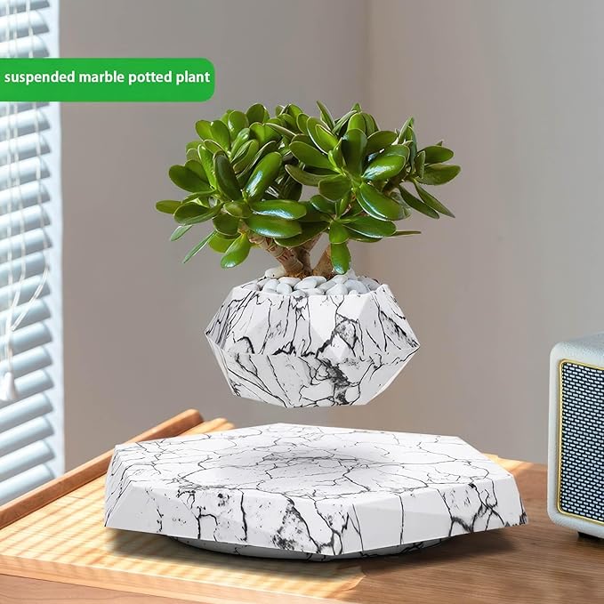 Magnetic levitation Potted Plants, Rotating Flower pots, Suitable for Home Decoration Bonsai, Creative Fashion Ornaments (Color : B)