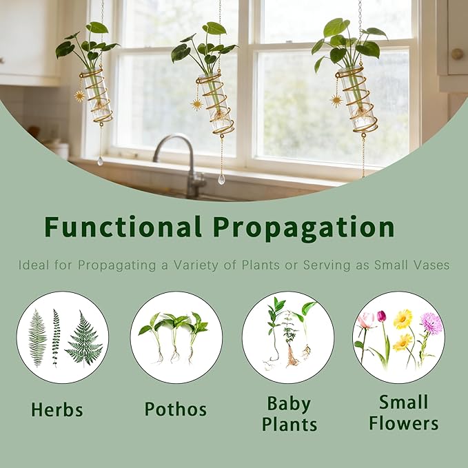 Plant Propagation Station Glass Hanging Propagation Tubes for Indoor Plants, Hydroponics Wall Planter Holder with Hanging Chain, 3Pcs Propagation Vases Hydroponics for Women Plant Gifts