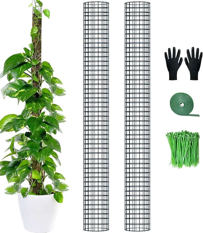 60" Metal Moss Pole, 2 Pack Moss Poles for Plants Monstera, Stackable Sphagnum Moss Pole, Plant Poles for Climbing Plants Work with Sphagnum Moss(2 Pack 60")