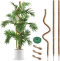 3 Pack Moss Pole 63 Inch Monstera Plant Support Moss Poles Bendable for Climbing Plants Longer Coco Coir Sticks Support Stakes Tall for Indoor Creeper DIY Shape Plants Grow Upwards