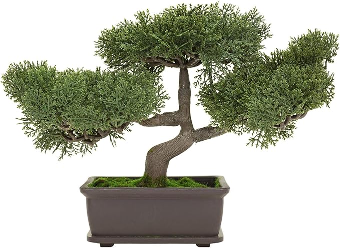 C CRYSTAL LEMON Bonsai Training Pots with Drip Trays, 3-Pack, Compact Plastic Planters with Drainage Holes & Mesh Screen, for Bonsai, Succulents & Cactus (Small)