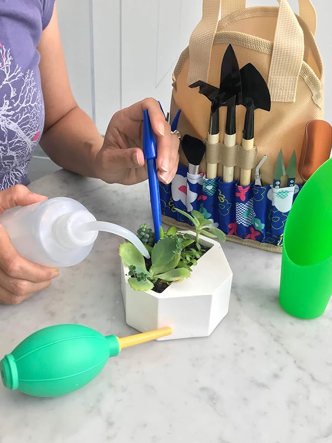 Succulent Kit Organizer Bag Gardening Tool Set | Terrarium Supplies Mini Succulent Garden Tool Kit | Heavy Duty Succulent Bonsai Planter Set Indoor Gardening | Fairy Zen Kit for Soil Fertilizer Seeds