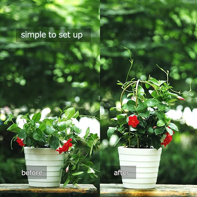 Cambaverd Plant Trellis Indoor 16in, Loop-Shaped Bamboo Trellis - 3 Pack for Climbing Plants, Hoya, Potted Plants
