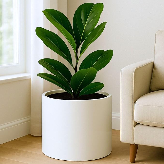Fox & Fern 15" Large Planter Fits Plant Stand - Drainage Plug - Indoor Outdoor - Matte White