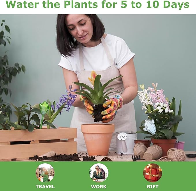 2-Pack Cactus Glass Plant Watering Globes – Decorative Self Watering Bulbs for Indoor & Outdoor Potted Plants, Automatic Watering System for Home Garden Planter Décor (Transparent)