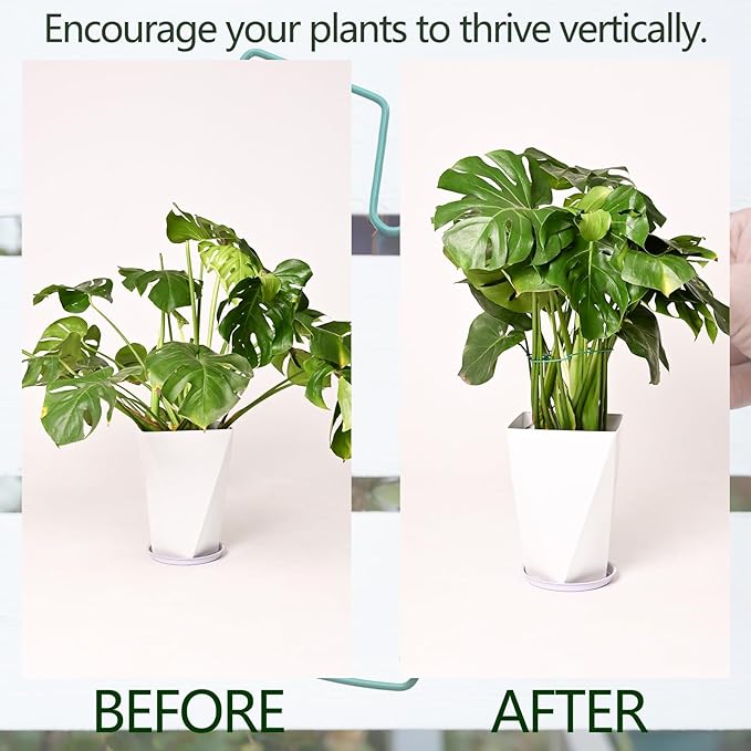 Yohsnor 5PCS Monstera Plant Support Stem 9 x 7.6 in- Durable Stabilizer Set for Indoor Climbing Plants, Holders for Enhancing Growth, Ideal Gift for Plant Lovers, Fishbone Cactus Stake Garden Tool