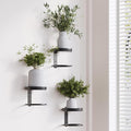 Metal Wall Plant Holder for Indoor Plants, Modern Stylish Wall Decor, Space-Saving Vertical Shelf for Home, Garden & Office 3 Pack Black