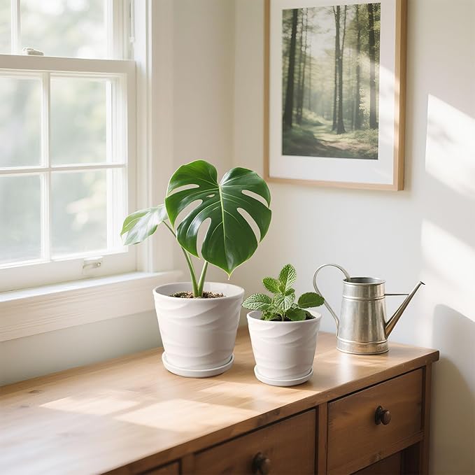 6.7 + 5.5 Inch Plant Pot, Ceramic Planter with Drainage and Saucer,Ceramic Pots for Plants, Indoor Plant pots,Succulent Orchid Flower Pot(Pure White)