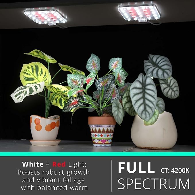 DOMMIA Full Spectrum LED Grow Light for Indoor Plants, 2 Panels 10W with 6/12/16h Timer Dimmable Plant Lights for Flower Veg Plant Growth USB, Netural White, 2-Pack