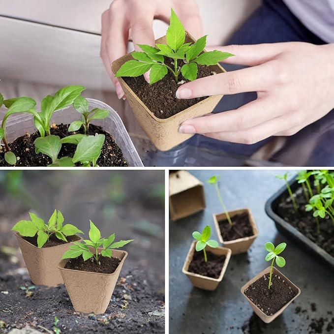 KOAMLY Square Peat Nursery Pots 150 Pcs 3in Biodegradable and Label, Used for Outdoor Gardens in Plant Nurseries
