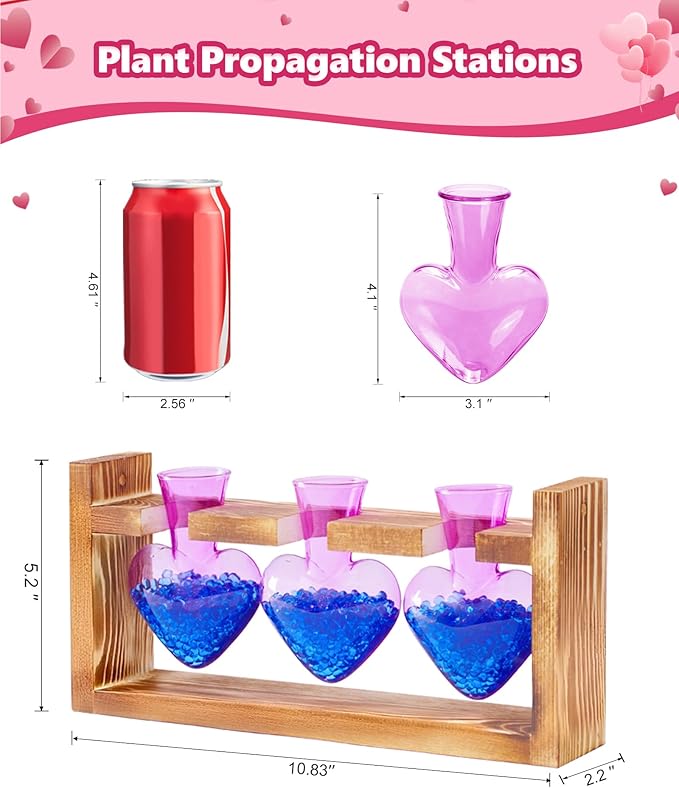 Nacome Plant Terrarium Propagation Stations: Mothers Day Gifts for Mom Plant Lovers Women Wife Daughter - 3 Bulb Glass Vase with Wooden Stand Tabletop for Hydroponics Home Garden Decor(Purple)