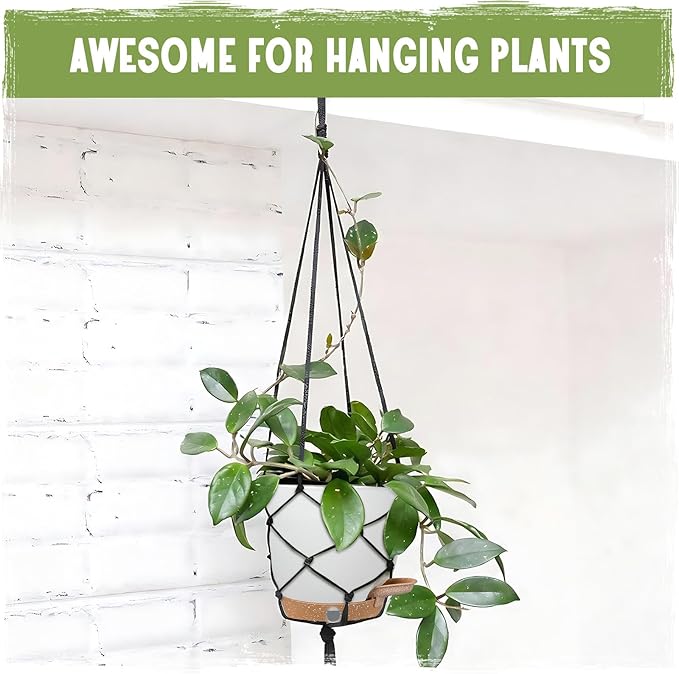 Self-Watering Pots for Indoor Plants 4 Pack, 6/8/10/12 Inch Outdoor Planters with Water Level Indicator & Deep Reservoir, Decorative Flower Pots for Home Decor (White, 12+10+8+6 Inch)