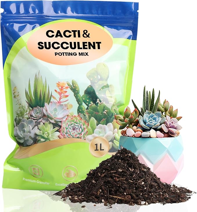 Succulent and Cactus Soil Potting Mix 1qt-Premium Breathable & Fast Draining for Healthy Plants