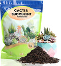 Succulent and Cactus Soil Potting Mix 1qt-Premium Breathable & Fast Draining for Healthy Plants