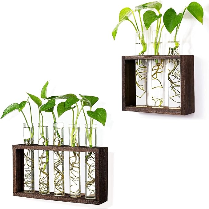 Wall Mounted Hanging Glass Test Tube Planter Propagation Station Glass Vase Rack with Wood Stand, Plant Terrarium Holder for Hydroponics Succulent Air Bamboo Plants with Test Tube