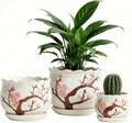 Vintage Flower Pots for Indoor Plant, Round Ceramic Plant Pots with Drainage Holes and Saucers, 6.7/5.2/3.9 Inches Retro Flower Planters Set of 3 (Cherry Blossom)