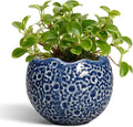 4 Inch Plant Pots - Small Ceramic Planter with Drainage Hole, Succulent Pots for Indoor Outdoor, Unique Round Planter, Modern Decorative Flower Pot, Desk Decor, Plant Lovers Gifts, Blue