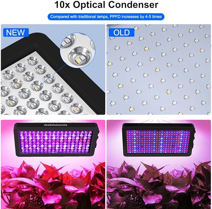 Upgraded BW2000 LED Grow Lights Double Chips Full Spectrum with 10ft Cable for Greenhouse and Indoor Plant Veg and Flower Growing [Black]
